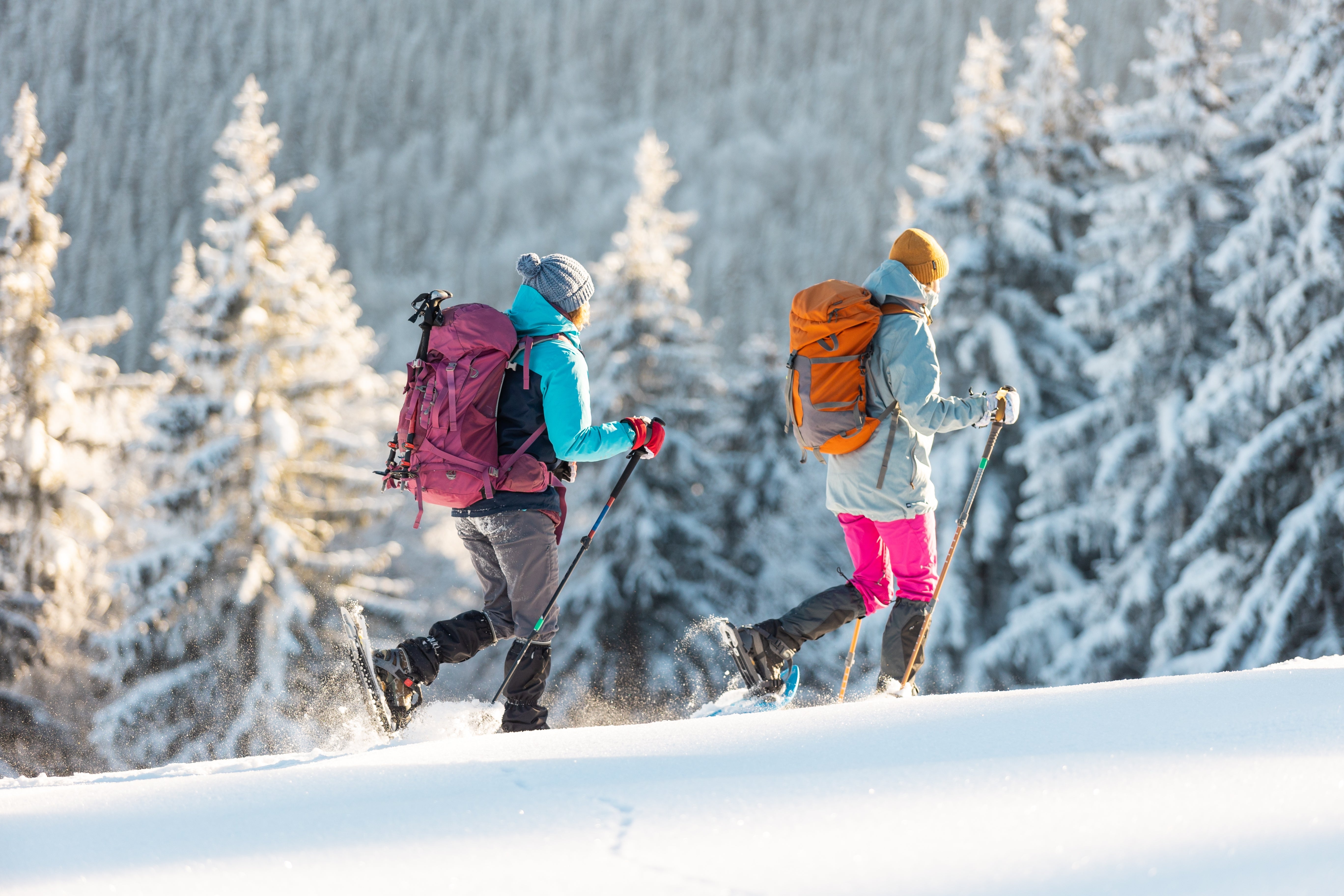 Snowshoeing - The Winter Activity for Anyone!