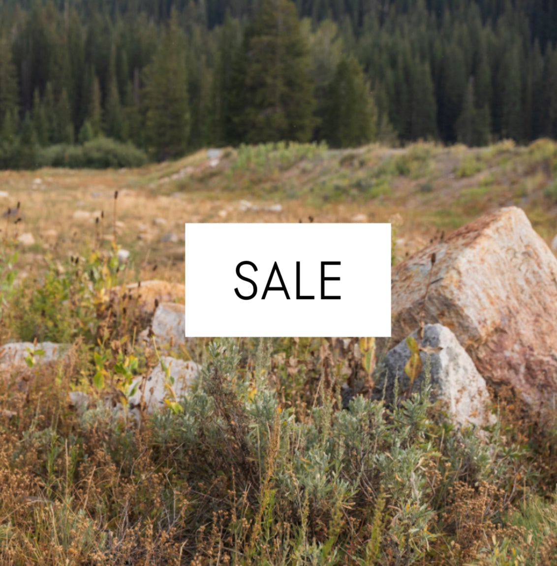 Men's Sale