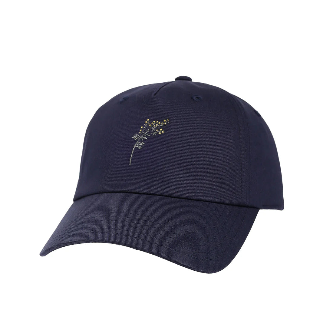 Pistil Womens Brooks Cap