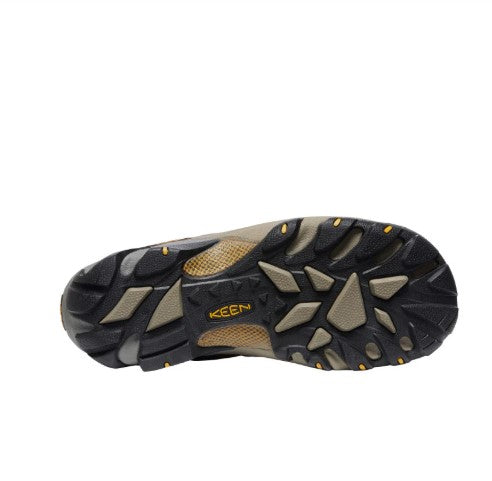 Keen Mens Targhee II WP