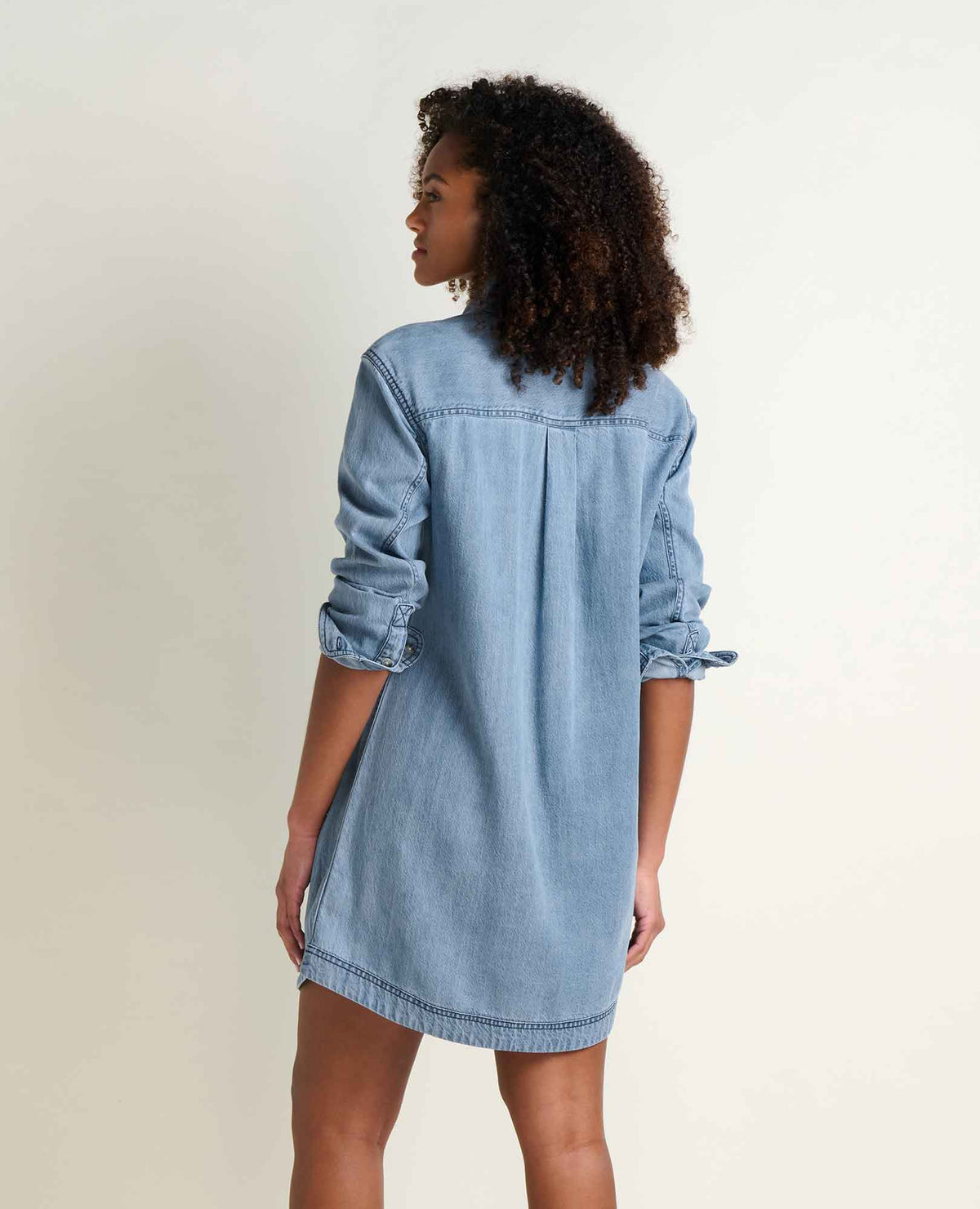 Toad & Co Womens Piñon Soft Denim Popover Dress