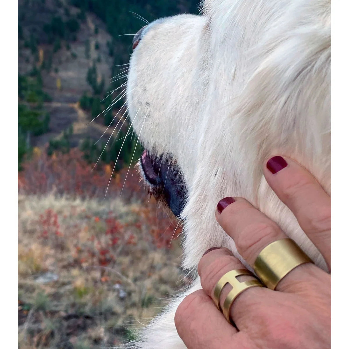 Daphne Lorna Slate Adjustable Ring